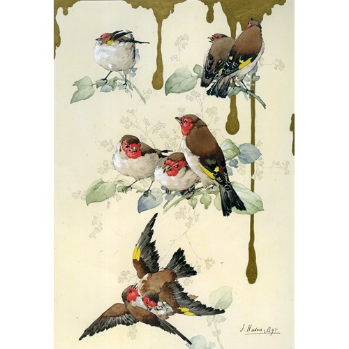 Illustration for Caprices Décoratifs: Oiseaux d’Europe (Chardonnerets) [Birds of Europe: Goldfinches]